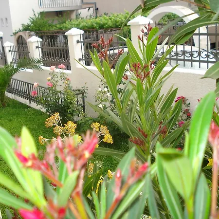 Vedrana 3* Podgorica